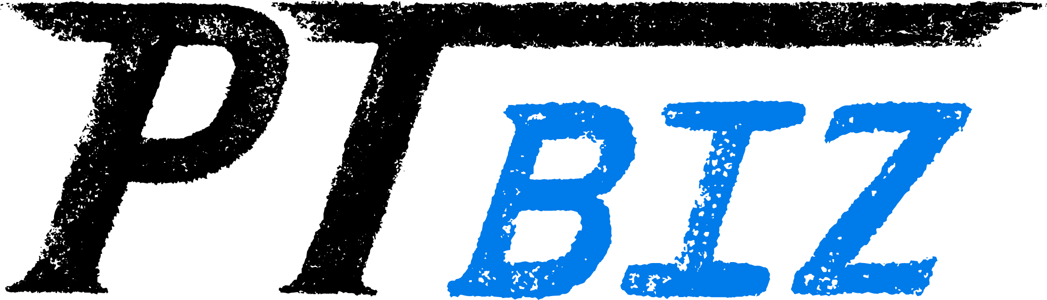PT Biz
